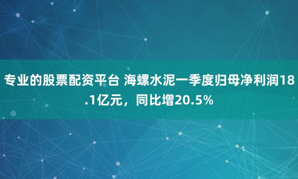 专业的股票配资平台 海螺水泥一季度归母净利润18.1亿元，同比增20.5%