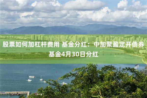 股票如何加杠杆费用 基金分红：中加聚盈定开债券基金4月30日分红