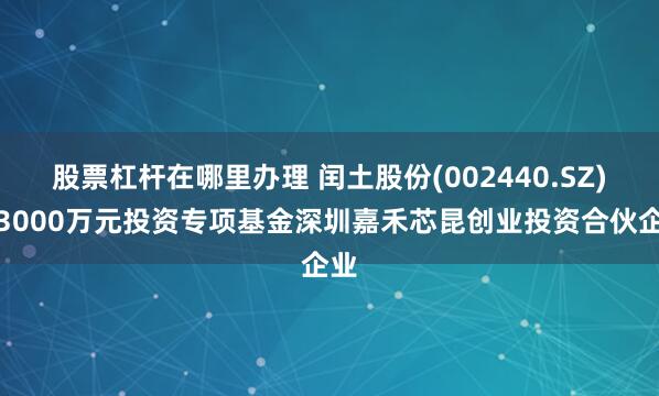 股票杠杆在哪里办理 闰土股份(002440.SZ)拟3000万元投资专项基金深圳嘉禾芯昆创业投资合伙企业