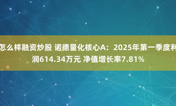 怎么样融资炒股 诺德量化核心A：2025年第一季度利润614.34万元 净值增长率7.81%