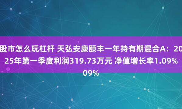 股市怎么玩杠杆 天弘安康颐丰一年持有期混合A：2025年第一季度利润319.73万元 净值增长率1.09%