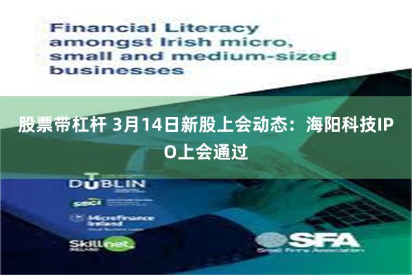 股票带杠杆 3月14日新股上会动态：海阳科技IPO上会通过