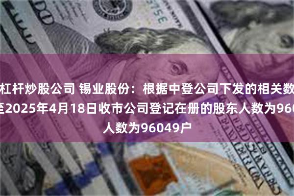 杠杆炒股公司 锡业股份：根据中登公司下发的相关数据截至2025年4月18日收市公司登记在册的股东人数为96049户