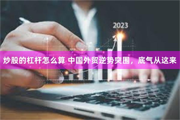 炒股的杠杆怎么算 中国外贸逆势突围，底气从这来