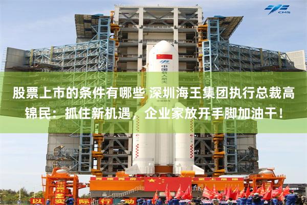 股票上市的条件有哪些 深圳海王集团执行总裁高锦民：抓住新机遇，企业家放开手脚加油干！