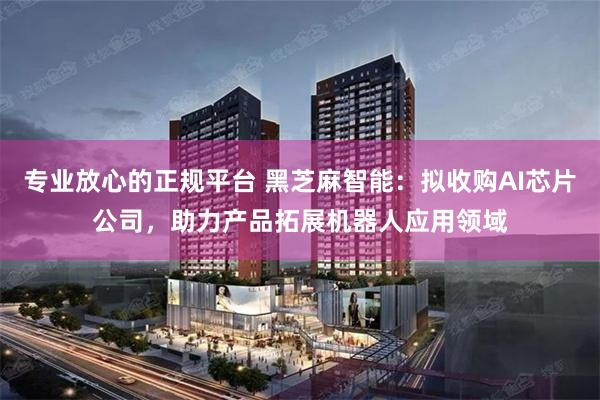 专业放心的正规平台 黑芝麻智能：拟收购AI芯片公司，助力产品拓展机器人应用领域