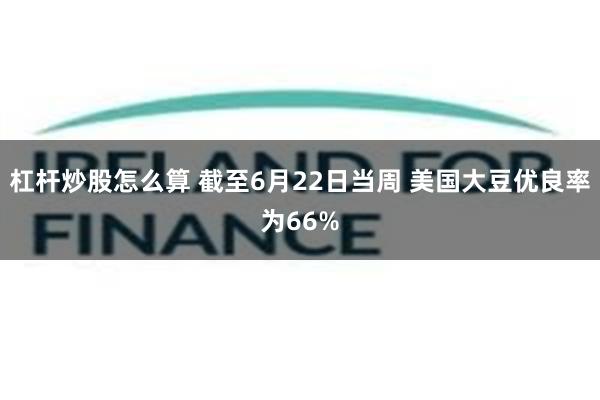 杠杆炒股怎么算 截至6月22日当周 美国大豆优良率为66%